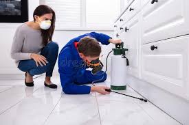 Best Organic or Eco-Friendly Pest Control  in Quinnesec, MI